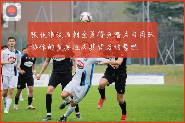 张佳玮谈马刺全员得分潜力与团队协作的重要性及其背后的哲理